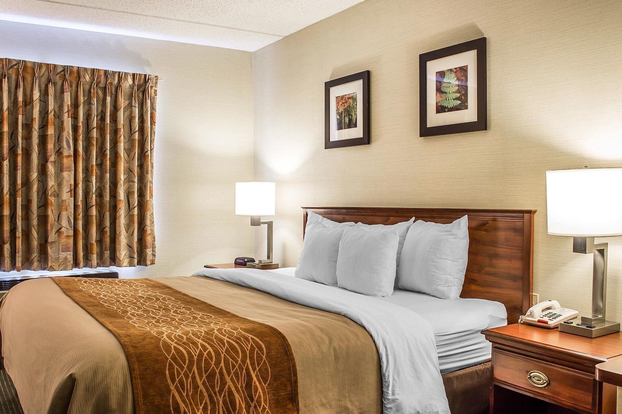 Comfort Inn & Suites Wilkes Barre - Arena Esterno foto