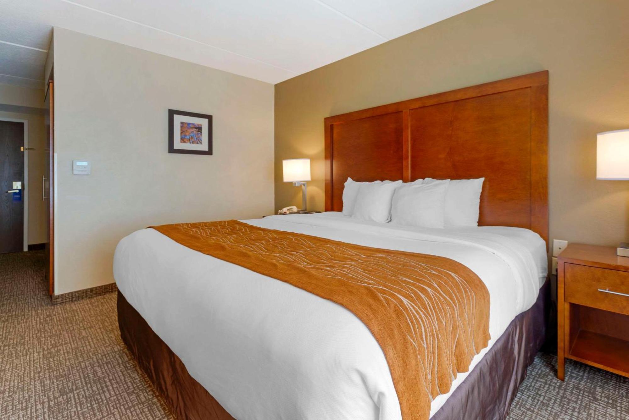 Comfort Inn & Suites Wilkes Barre - Arena Esterno foto